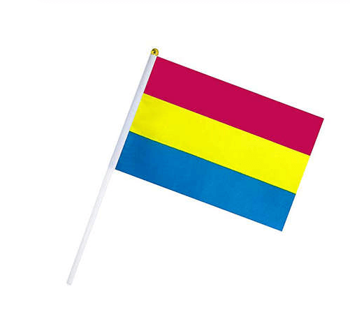 Drapeaux avec poignée Pansexuel (10 pièces)