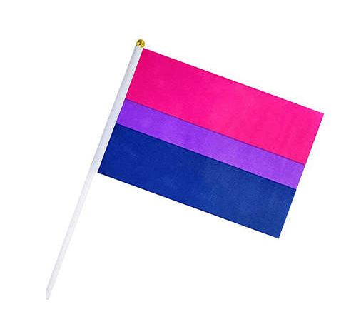Fähnchen mit Griff Bisexuell (10 Stück)