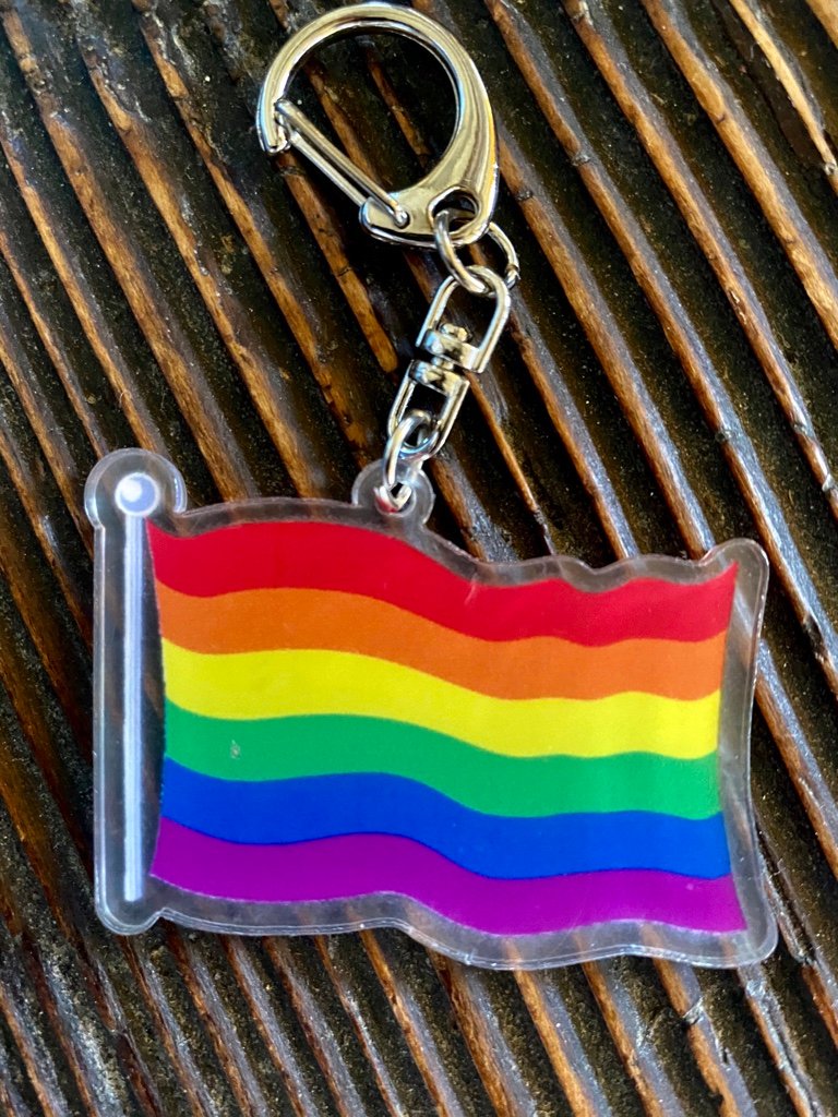 Schlüssel Und Taschenanhänger Regenbogenfahne
