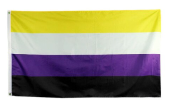 Fahne Nonbinary 90 X 150 cm
