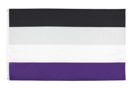 Drapeau asexué 90 x 150 cm