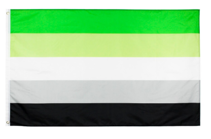 Fahne Aromantik 90 X 150 Cm