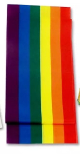 Schärpe Regenbogen Inkl Button