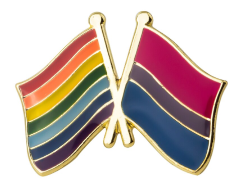 PIN drapeau arc-en-ciel bisexuel