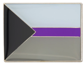 PIN Rechteck Demisexuell