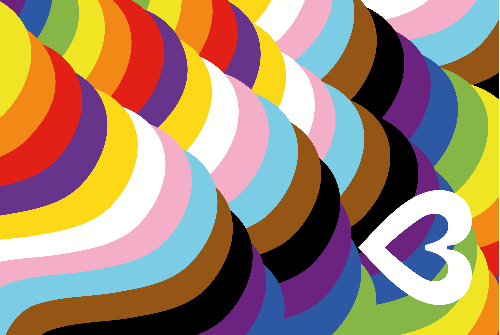 Special Edition Fahne - Bern Pride- erhältlich in zwei verschiedenen Grössen