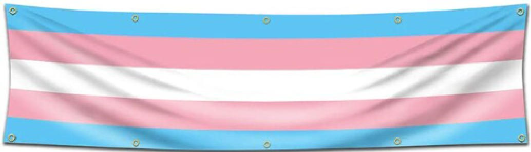 Flag Transgender XL 60 X 240 cm with 10 eyelets