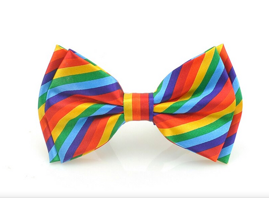 Belle mouche arc-en-ciel