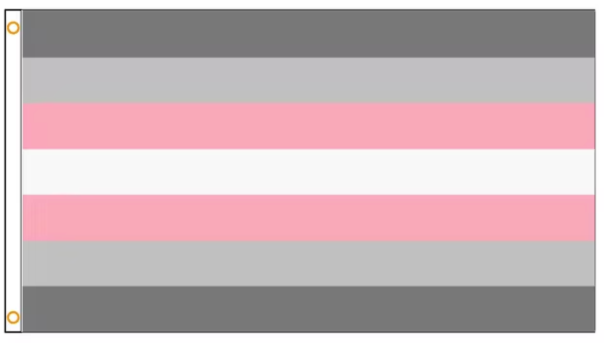 Drapeau gay 90 x 150 cm