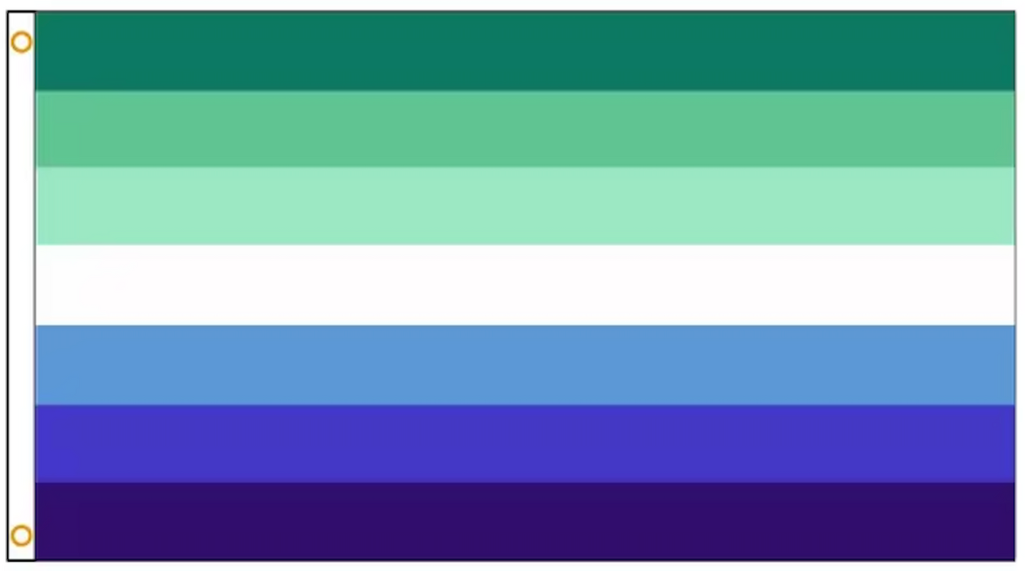 Flag Gay 90 x 150 cm
