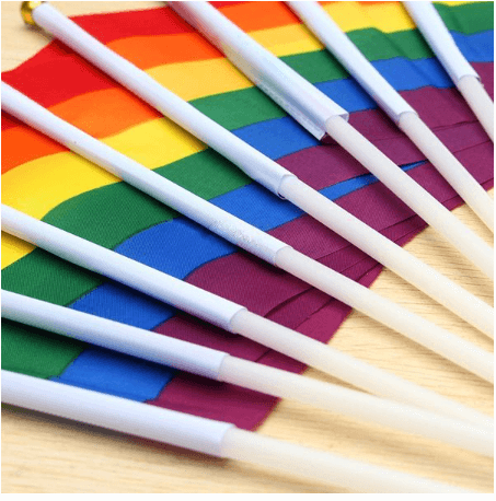 Rainbow flags with handle (10 pieces)