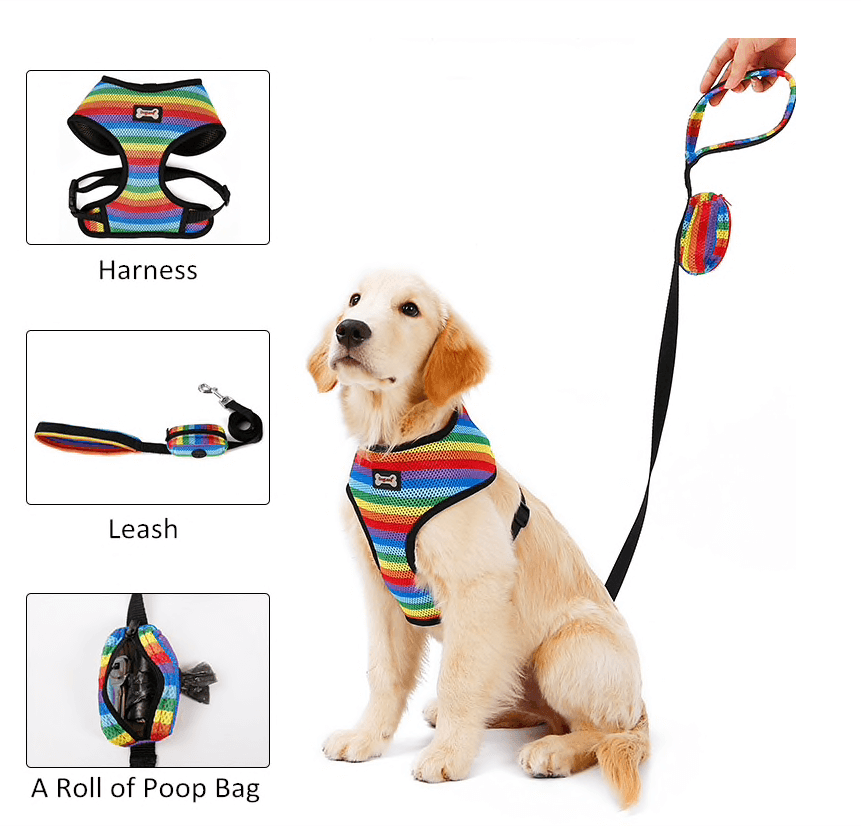 Harnais pour chien au look arc-en-ciel