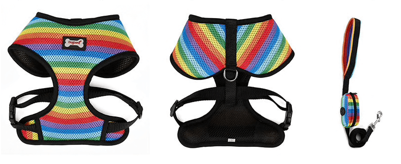 Harnais pour chien au look arc-en-ciel