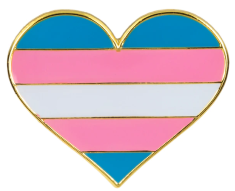 PIN Herz Transgender