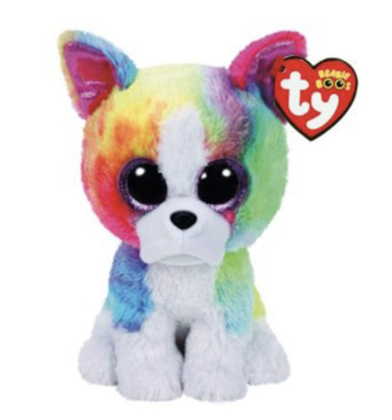 Hund mit Regenbogenfell