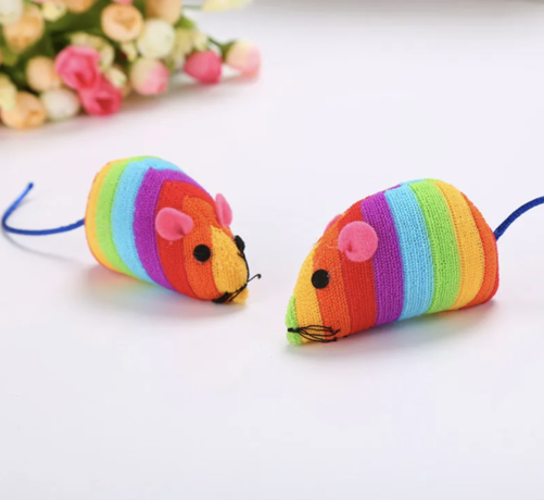 Souris arc-en-ciel cool