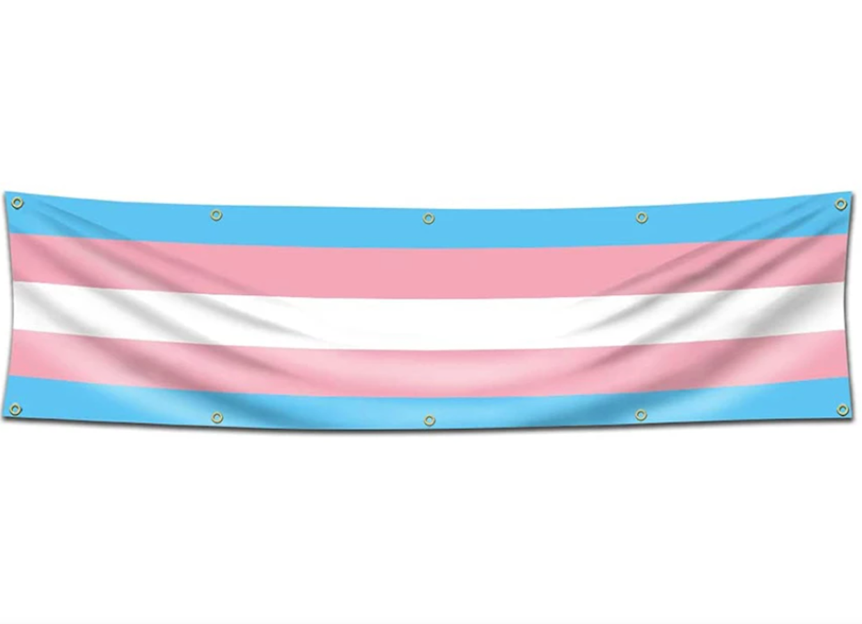 Fahne Transgender XL 60 X 240 cm mit 10 Ösen